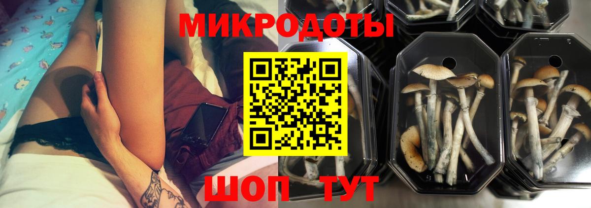 Ачхой-Мартан  Псилоцибиновые грибы Magic Shrooms  Вход с VPN 
